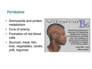 Pyridoxine
• Aminoacids and protein
metabolism
• Cure of anemy
• Formation of red blood
cells
• Sources: meat, fish,
liver, vegetables, cerals,
yolk, legumes
 