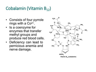 Cobalamin (Vitamin B12)
• Consists of four pyrrole
rings with a Co2+.
• Is a coenzyme for
enzymes that transfer
methyl groups and
produce red blood cells.
• Deficiency can lead to
pernicious anemia and
nerve damage.
 
