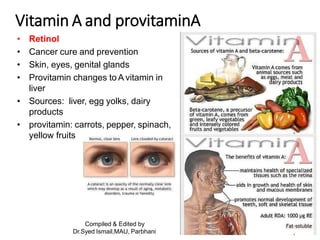 Compiled & Edited by
Dr.Syed Ismail,MAU, Parbhani
22
Vitamin A and provitaminA
• Retinol
• Cancer cure and prevention
• Skin, eyes, genital glands
• Provitamin changes to A vitamin in
liver
• Sources: liver, egg yolks, dairy
products
• provitamin: carrots, pepper, spinach,
yellow fruits
 