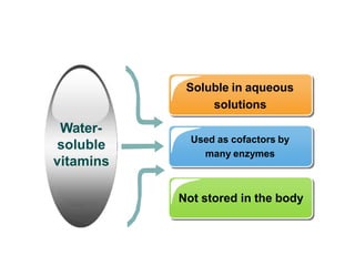 Used as cofactors by
many enzymes
Soluble in aqueous
solutions
Not stored in the body
Water-
soluble
vitamins
 