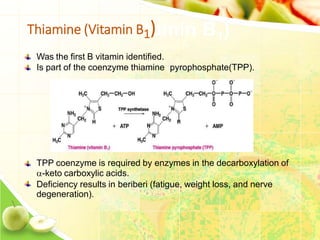 Thiamine (Vitamin B1)
Was the first B vitamin identified.
Is part of the coenzyme thiamine pyrophosphate(TPP).
TPP coenzyme is required by enzymes in the decarboxylation of
-keto carboxylic acids.
Deficiency results in beriberi (fatigue, weight loss, and nerve
degeneration).
 