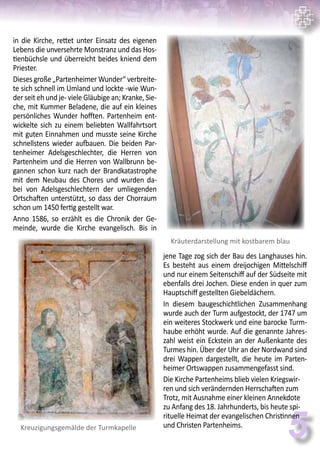 5
in die Kirche, rettet unter Einsatz des eigenen
Lebens die unversehrte Monstranz und das Hos-
tienbüchsle und überreicht beides kniend dem
Priester.
Dieses große „Partenheimer Wunder“ verbreite-
te sich schnell im Umland und lockte -wie Wun-
der seit eh und je- viele Gläubige an; Kranke, Sie-
che, mit Kummer Beladene, die auf ein kleines
persönliches Wunder hofften. Partenheim ent-
wickelte sich zu einem beliebten Wallfahrtsort
mit guten Einnahmen und musste seine Kirche
schnellstens wieder aufbauen. Die beiden Par-
tenheimer Adelsgeschlechter, die Herren von
Partenheim und die Herren von Wallbrunn be-
gannen schon kurz nach der Brandkatastrophe
mit dem Neubau des Chores und wurden da-
bei von Adelsgeschlechtern der umliegenden
Ortschaften unterstützt, so dass der Chorraum
schon um 1450 fertig gestellt war.
Anno 1586, so erzählt es die Chronik der Ge-
meinde, wurde die Kirche evangelisch. Bis in
jene Tage zog sich der Bau des Langhauses hin.
Es besteht aus einem dreijochigen Mittelschiff
und nur einem Seitenschiff auf der Südseite mit
ebenfalls drei Jochen. Diese enden in quer zum
Hauptschiff gestellten Giebeldächern.
In diesem baugeschichtlichen Zusammenhang
wurde auch der Turm aufgestockt, der 1747 um
ein weiteres Stockwerk und eine barocke Turm-
haube erhöht wurde. Auf die genannte Jahres-
zahl weist ein Eckstein an der Außenkante des
Turmes hin. Über der Uhr an der Nordwand sind
drei Wappen dargestellt, die heute im Parten-
heimer Ortswappen zusammengefasst sind.
Die Kirche Partenheims blieb vielen Kriegswir-
ren und sich verändernden Herrschaften zum
Trotz, mit Ausnahme einer kleinen Annekdote
zu Anfang des 18. Jahrhunderts, bis heute spi-
rituelle Heimat der evangelischen Christinnen
und Christen Partenheims.Kreuzigungsgemälde der Turmkapelle
Kräuterdarstellung mit kostbarem blau
 
