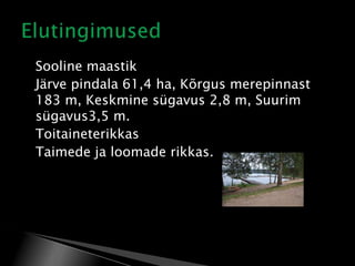 






Sooline maastik
Järve pindala 61,4 ha, Kõrgus merepinnast
183 m, Keskmine sügavus 2,8 m, Suurim
sügavus3,5 m.
Toitaineterikkas
Taimede ja loomade rikkas.

 