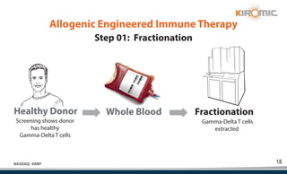 18
NASDAQ: KRBP
Healthy Donor
Gamma-Delta T cells
extracted
Screening shows donor
has healthy
Gamma-Delta T cells
Whole Blood Fractionation
Step 01: Fractionation
Allogenic Engineered Immune Therapy
 