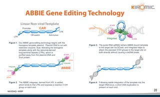 20
NASDAQ: KRBP
Linear Non-viral Template
ABBIE Gene Editing Technology
Figure 1. Our ABBIE gene-editing technology begins with the
transgene template plasmid. Plasmid DNA is cut with
restriction enzyme, ScaI, liberating the transgene
template along with the retroviral-derived
long-terminal repeats (LTRs), which is
purified away from the plasmid DNA and
ScaI protein.
Figure 3. The guide RNA (gRNA) tethers ABBIE-bound template
to the target site via DCas9, and Integrase helps to
attach the exposed 3’OH groups to the target site on
both strands without causing a dsDNA break.
Figure 2. The ABBIE integrase, derived from HIV, is added,
which binds to the LTRs and exposes a reactive 3’-OH
group on each end.
Figure 4. Following stable integration of the template into the
target DNA locus, a short DNA duplication is
present on each end.
LTR
LTR
Integrase
Integrase
Integrase
dCAS9
dCAS9
dCAS9
dCAS9
gRNA
gRNA
gRNA
OH
OH
LTR
LTR
Promoter
Off-switch Anti-tumor
CAR
ABBIE
 