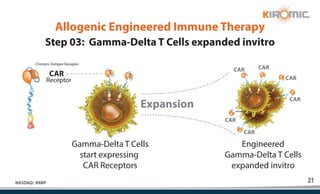 21
NASDAQ: KRBP
Expansion
Receptor
Chimeric Antigen Receptor
CAR
CAR
CAR
CAR
CAR
CAR CAR
Step 03: Gamma-Delta T Cells expanded invitro
Allogenic Engineered Immune Therapy
Gamma-Delta T Cells
start expressing
CAR Receptors
Engineered
Gamma-Delta T Cells
expanded invitro
 