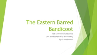 The Eastern Barred
Bandicoot
VCE Environmental Science
Unit 3 Area of Study 2: Biodiversity
By Kirsten Noonan
 
