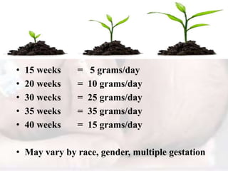 • 15 weeks = 5 grams/day
• 20 weeks = 10 grams/day
• 30 weeks = 25 grams/day
• 35 weeks = 35 grams/day
• 40 weeks = 15 grams/day
• May vary by race, gender, multiple gestation
 