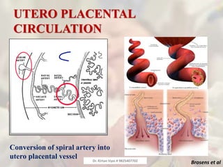 UTERO PLACENTAL
CIRCULATION
Conversion of spiral artery into
utero placental vessel
Brosens et alDr. Kirtan Vyas # 9825407702
 