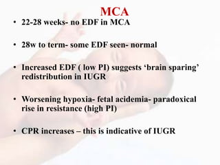 MCA
• 22-28 weeks- no EDF in MCA
• 28w to term- some EDF seen- normal
• Increased EDF ( low PI) suggests ‘brain sparing’
redistribution in IUGR
• Worsening hypoxia- fetal acidemia- paradoxical
rise in resistance (high PI)
• CPR increases – this is indicative of IUGR
 