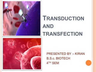 PRESENTED BY :- KIRAN
B.S.c. BIOTECH
4TH SEM
TRANSDUCTION
AND
TRANSFECTION
 