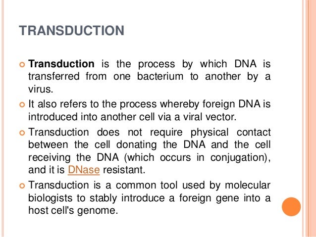 transformation transfection transduction transduction and transfection transformation transfection transduction transduction and transfection