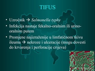 TIFUS
• Uzročnik  Salmonella typhy
• Infekcija nastaje fekalno-oralnim ili urino-
oralnim putem
• Promjene najizraženije u limfatičnom tkivu
ileuma  nekroze i ulceracije (mogu dovesti
do krvarenja i perforacije crijeva)
 