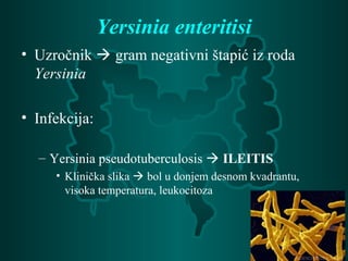 Yersinia enteritisi
• Uzročnik  gram negativni štapić iz roda
Yersinia
• Infekcija:
– Yersinia pseudotuberculosis  ILEITIS
• Klinička slika  bol u donjem desnom kvadrantu,
visoka temperatura, leukocitoza
 