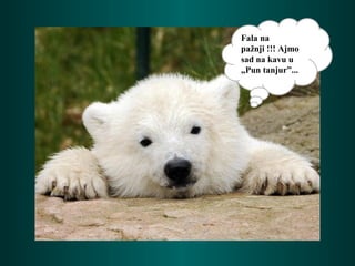 Fala na
pažnji !!! Ajmo
sad na kavu u
„Pun tanjur”...
 