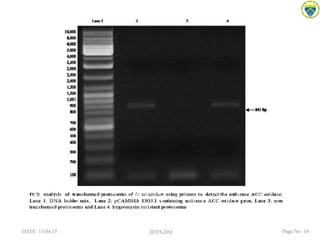DATE: 13.04.15 BTFS,DSI Page No: 10
 