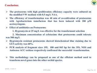 Conclusion:
 The protocorms with high proliferation efficiency capacity were cultured on
the modified VW medium with 0.5 mg/L NAA.
 The efficiency of transformation was 40 min of co-cultivation of protocorms
with Agrobacterium tumefaciens that has been induced with 200 µM
acetosyringone.
 Effect of antibiotics on Protocorms:
1. Hygromycin at 25 mg/L was effective for the transformant selection
2. Maximum concentration of cefotaxime that protocorms could tolerate
was 500 mg/L
 Hygromycin resistant protocorms showed histochemical blue staining due to
GUS activity was 60%.
 PCR analysis of fragment sizes 195, 180 and 843 bp for the 35S, NOS and
Antisense ACC oxidase respectively confirmed the successful transformation.
 This methodology can be proposed as one of the efficient method used to
transform novel genes into the other orchid species.
DATE: 13.04.15
BTFS,DSI Page No: 12
 