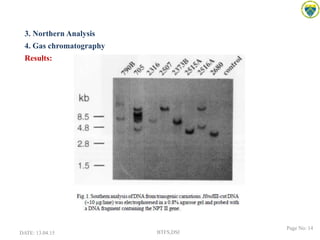 3. Northern Analysis
4. Gas chromatography
Results:
DATE: 13.04.15 BTFS,DSI
Page No: 14
 