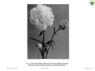 DATE: 13.04.15 BTFS,DSI Page No: 15
 