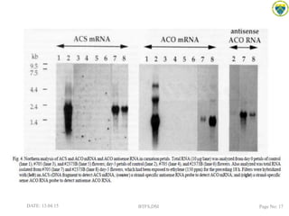 DATE: 13.04.15 BTFS,DSI Page No: 17
 