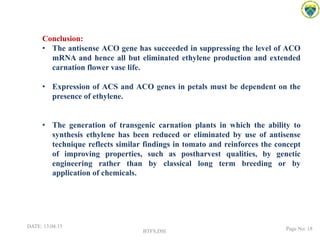 Conclusion:
• The antisense ACO gene has succeeded in suppressing the level of ACO
mRNA and hence all but eliminated ethylene production and extended
carnation flower vase life.
• Expression of ACS and ACO genes in petals must be dependent on the
presence of ethylene.
• The generation of transgenic carnation plants in which the ability to
synthesis ethylene has been reduced or eliminated by use of antisense
technique reflects similar findings in tomato and reinforces the concept
of improving properties, such as postharvest qualities, by genetic
engineering rather than by classical long term breeding or by
application of chemicals.
DATE: 13.04.15
BTFS,DSI Page No: 18
 