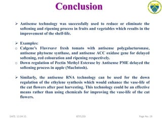 Conclusion
DATE: 13.04.15 Page No: 19BTFS,DSI
 Antisense technology was successfully used to reduce or eliminate the
softening and ripening process in fruits and vegetables which results in the
improvement of the shelf-life.
 Examples:
o Calgene’s Flavrsavr fresh tomato with antisense polygalacturonase,
antisense phytoene synthase, and antisense ACC oxidase gene for delayed
softening, red colouration and ripening respectively.
o Down regulation of Pectin Methyl Esterase by Antisense PME delayed the
softening process in apple (MacIntosh).
 Similarly, the antisense RNA technology can be used for the down
regulation of the ethylene synthesis which would enhance the vase-life of
the cut flowers after post harvesting. This technology could be an effective
means rather than using chemicals for improving the vase-life of the cut
flowers.
 