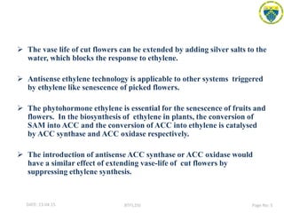  The vase life of cut flowers can be extended by adding silver salts to the
water, which blocks the response to ethylene.
 Antisense ethylene technology is applicable to other systems triggered
by ethylene like senescence of picked flowers.
 The phytohormone ethylene is essential for the senescence of fruits and
flowers. In the biosynthesis of ethylene in plants, the conversion of
SAM into ACC and the conversion of ACC into ethylene is catalysed
by ACC synthase and ACC oxidase respectively.
 The introduction of antisense ACC synthase or ACC oxidase would
have a similar effect of extending vase-life of cut flowers by
suppressing ethylene synthesis.
DATE: 13.04.15 BTFS,DSI Page No: 5
 