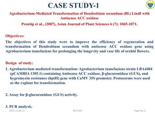 CASE STUDY-1
Agrobacterium-Mediated Transformation of Dendrobium secundum (Bl.) LindI with
Antisense ACC oxidase
Prontip et al., (2007), Asian Journal of Plant Sciences 6 (7): 1065-1071.
Objectives:
The objectives of this study were to improve the efficiency of regeneration and
transformation of Dendrobium secundum with antisense ACC oxidase gene using
Agrobacterium tumefaciens for prolonging the longevity and vase life of orchid flowers.
Design of study:
1. Agrobacterium mediated transformation: Agrobacterium tumefaciens strain LBA4404
(pCAMBIA 1305.1) containing Antisense ACC oxidase, β-glucuronidase (GUS), and
hygromycin resistance (hptII) gene with CaMV 35S promoter. Protocorms were used
as the explant for transformation.
2. Assay for β-glucuronidase (GUS) activity.
3. PCR analysis.
DATE:13.04.15 Page No: 6BTFS,DSI
 