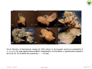 DATE: 13.04.15 BTFS,DSI Page No: 8
 