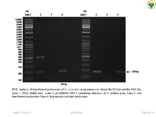 DATE: 13.04.15 BTFS,DSI Page No: 9
 