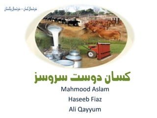 MahmoodAslam HaseebFiaz Ali Qayyum 