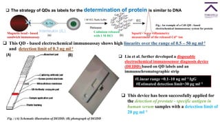 The strategy of QDs as labels for the determination of protein is similar to DNA
Fig.: An example of a CdS QD - based
electrochemical immunoassay system for protein
Magnetic bead - based
sandwich immunoassay
Cadmium released
with 1 M HCl
Square - wave voltammetry
measurement of the released Cd2+ ion
Interleukin (IL)
 This QD - based electrochemical immunoassay shows high linearity over the range of 0.5 – 50 ng ml-1
and detection limit of 0.3 ng ml-1
 Liu et al. further developed a disposable
electrochemical immunosensor diagnosis device
(DEIDD) based on QD labels and an
immunochromatographic strip
 This device has been successfully applied for
the detection of prostate - specific antigen in
human serum samples with a detection limit of
20 pg ml−1
#Linear range =0.1–10 ng ml−1 IgG
#Estimated detection limit=30 pg ml−1
Fig. : (A) Schematic illustration of DEIDD; (B) photograph of DEIDD
 