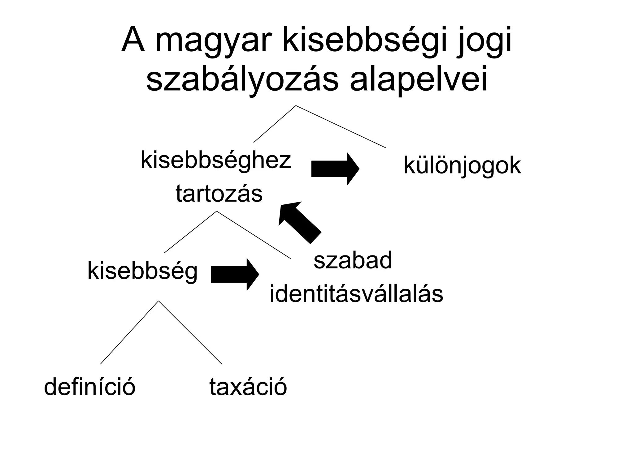 A magyar kisebbségi jogi szabályozás alapelvei kisebbséghez  tartozás különjogok kisebbség szabad  identitásvállalás definíció taxáció 