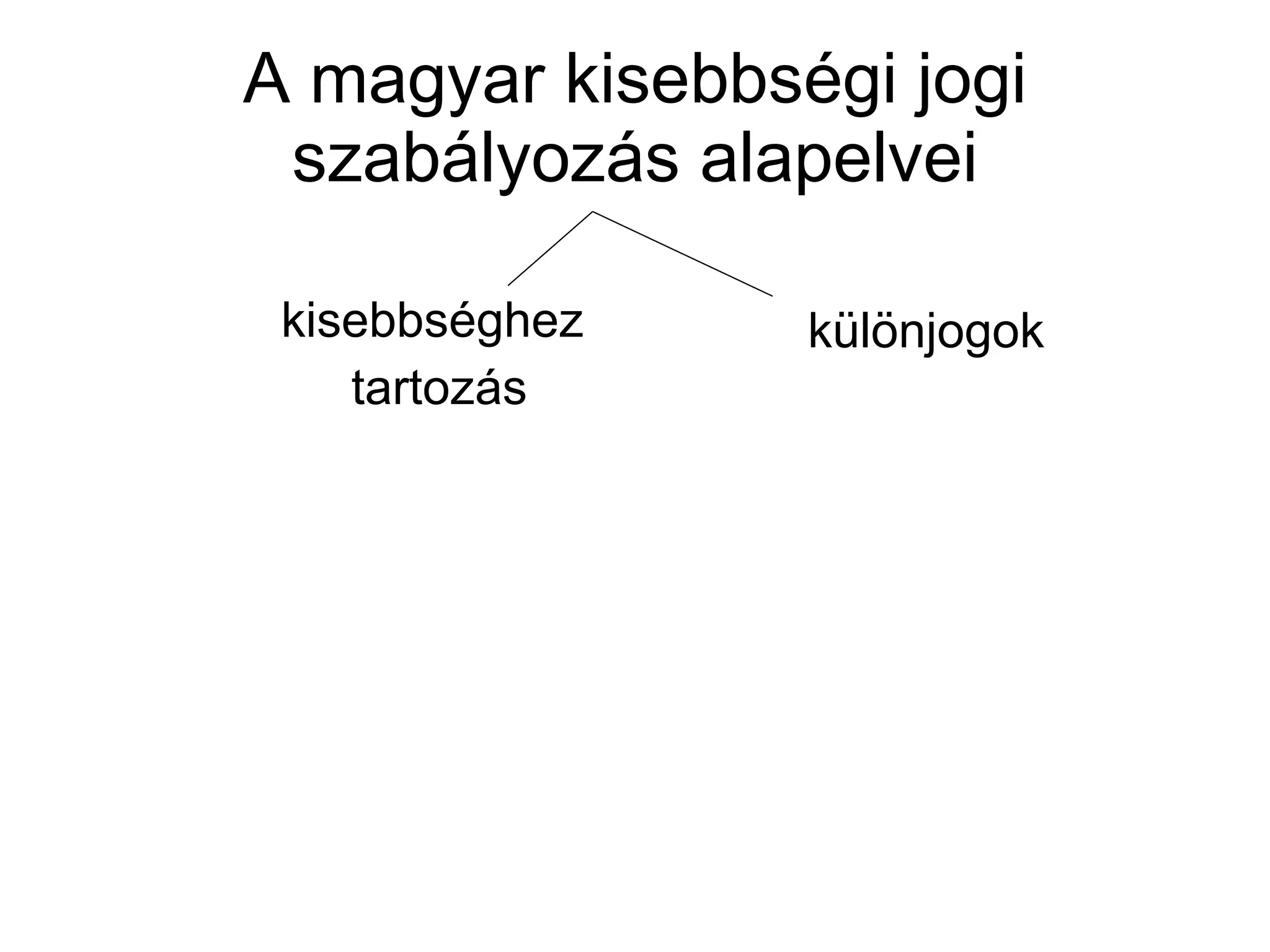 A magyar kisebbségi jogi szabályozás alapelvei kisebbséghez  tartozás különjogok 