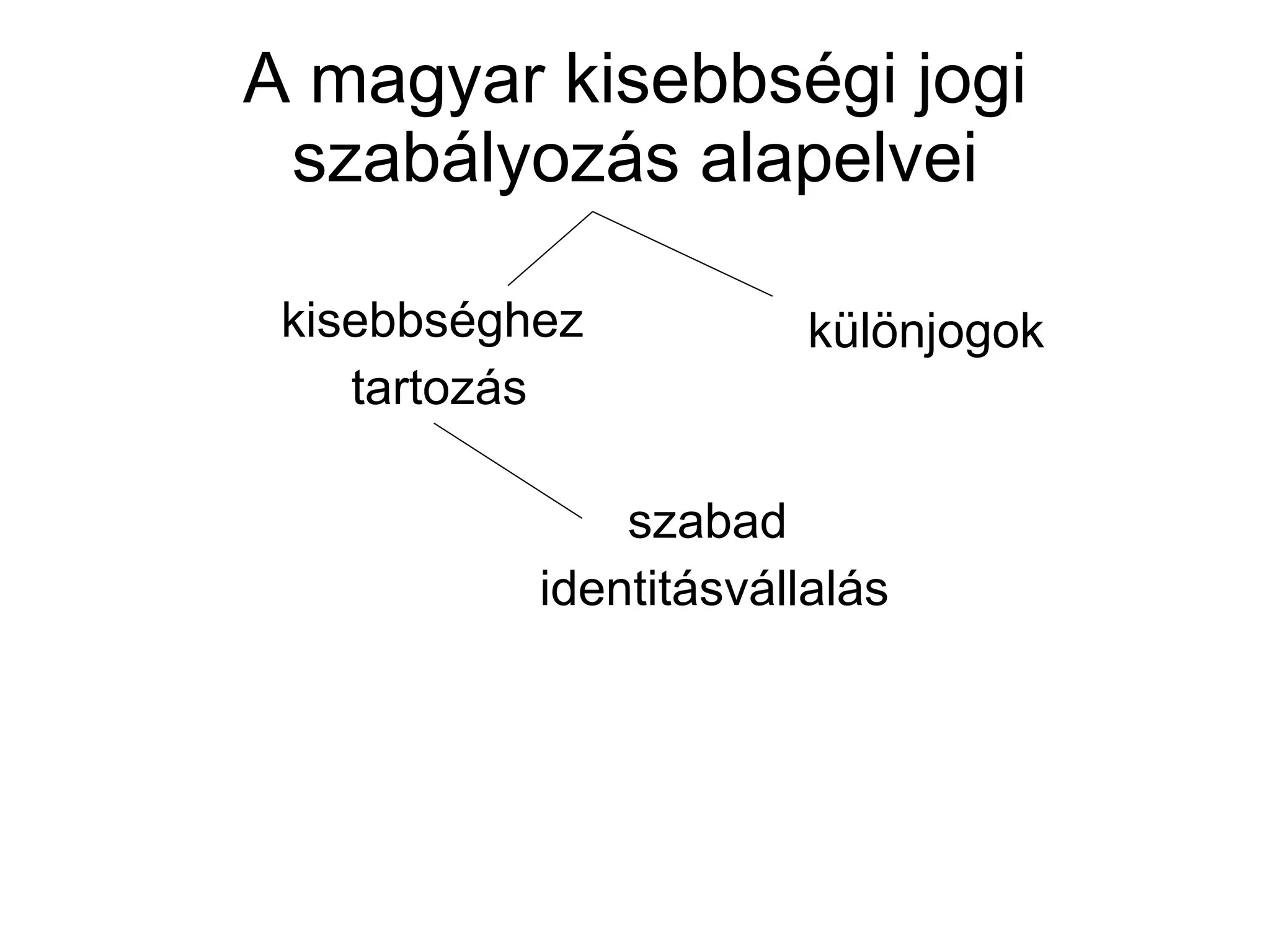 A magyar kisebbségi jogi szabályozás alapelvei kisebbséghez  tartozás különjogok szabad  identitásvállalás 