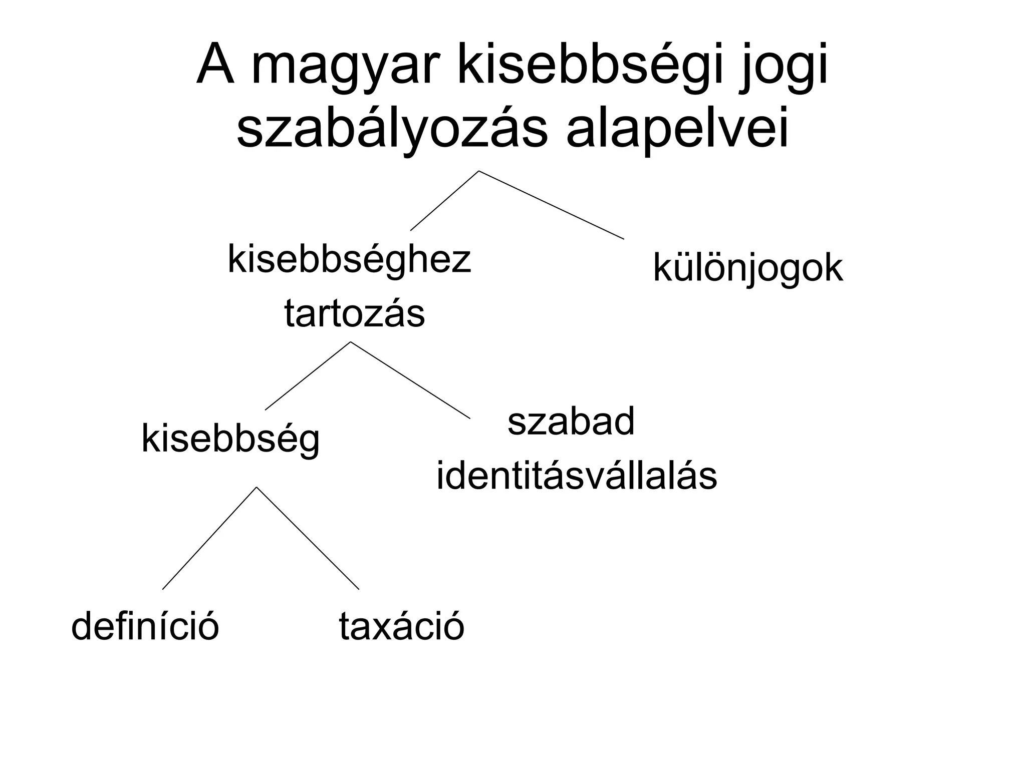 A magyar kisebbségi jogi szabályozás alapelvei kisebbséghez  tartozás különjogok kisebbség szabad  identitásvállalás definíció taxáció 