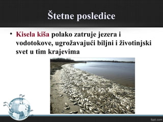 Štetne posledice
• Kisela kiša polako zatruje jezera i
vodotokove, ugrožavajući biljni i životinjski
svet u tim krajevima
 