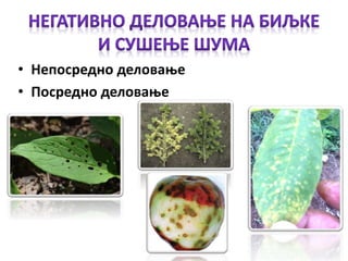 • Непосредно деловање
• Посредно деловање
 