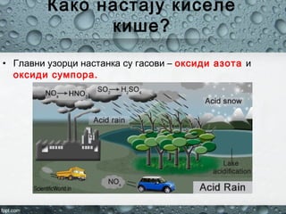 Како настају киселе
кише?
• Главни узорци настанка су гасови – оксиди азота и
оксиди сумпора.
 