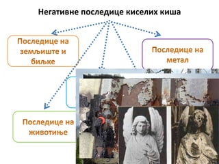 Негативне последице киселих киша
 