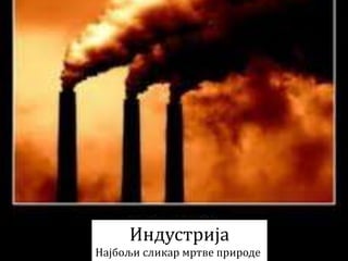 Индустрија
Најбољи сликар мртве природе
 