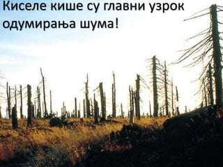 Kisele kiše | PPT