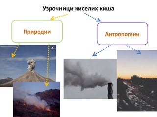 Узрочници киселих киша
 