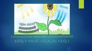 U prirodi ga stvaraju zelene biljke u procesu FOTOSINTEZE 
6 CO2 + 6 H2 O → C6 H12 O6 + 6 O2 ↑ 
 