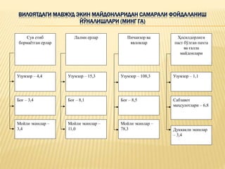 ВИЛОЯТДАГИ МАВЖУД ЭКИН МАЙДОНЛАРИДАН САМАРАЛИ ФОЙДАЛАНИШ
ЙЎНАЛИШЛАРИ (МИНГ ГА)
Сув етиб
бормаётган ерлар
Пичанзор ва
явловлар
Лалми ерлар Ҳосилдорлиги
паст бўлган пахта
ва ғалла
майдонлари
Узумзор – 4,4
Боғ – 3,4
Мойли экинлар –
3,4
Узумзор – 15,3
Боғ – 8,1
Мойли экинлар –
11,0
Узумзор – 108,3
Боғ – 8,5
Мойли экинлар –
78,3
Узумзор – 1,1
Сабзавот
маҳсулотлари – 6,8
Дуккакли экинлар
– 3,4
 