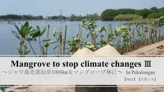 Mangrove to stop climate changes Ⅲ
～ジャワ島北部沿岸1000㎞をマングローブ林に～ In Pekalongan
【NICE】【大賞１８】
 
