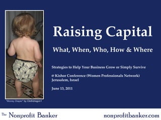 Raising Capital What, When, Who, How & Where Strategies to Help Your Business Grow or Simply Survive @ Kishor Conference (Women Professionals Network) Jerusalem, Israel  June 13, 2011 The   Nonprofit  Banker nonprofitbanker.com “ Money Diaper ” by Clothdragon1 