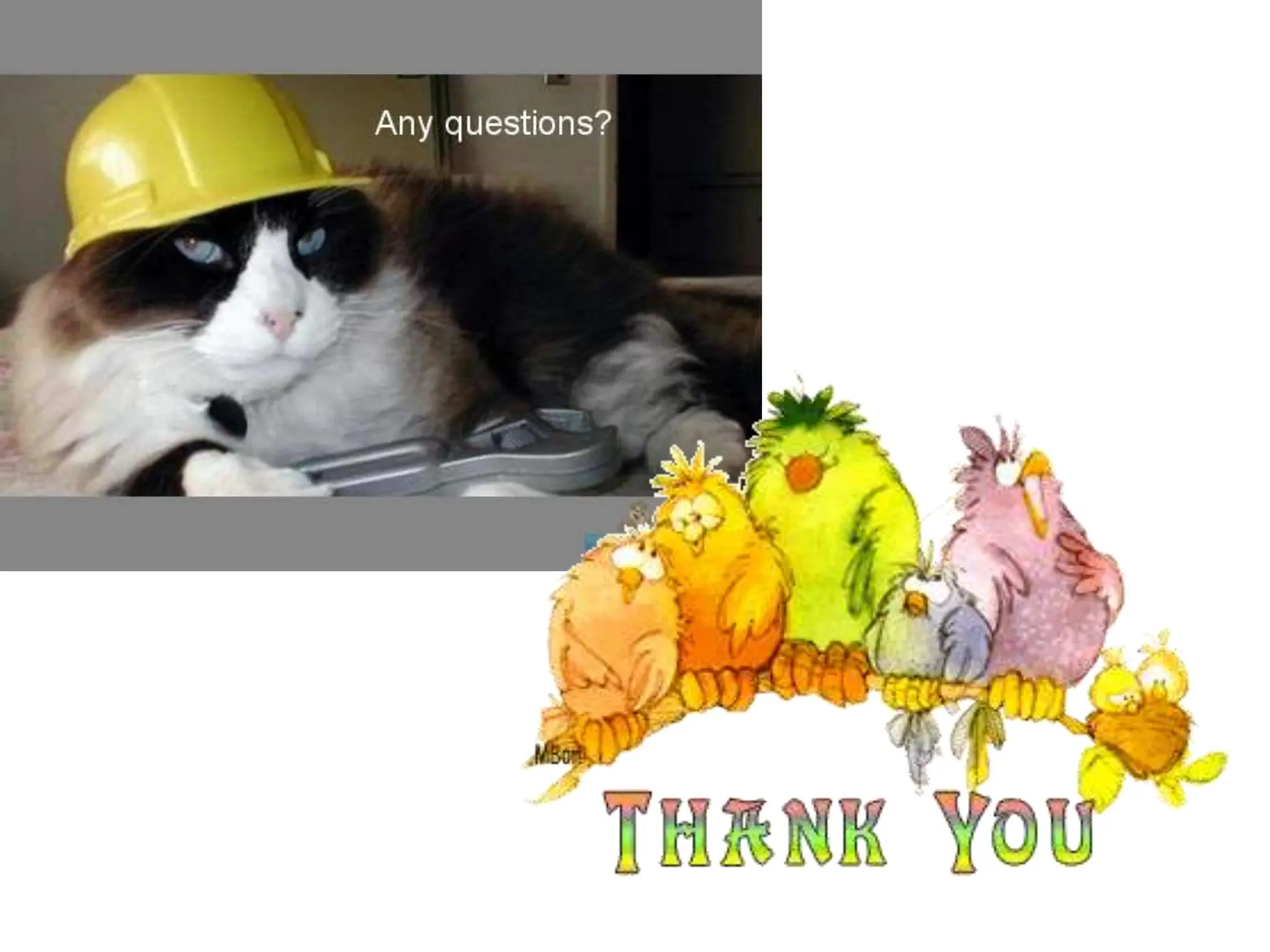 DIFFERENT TYPES VARIABILITY & ITS MEASURES.pptx