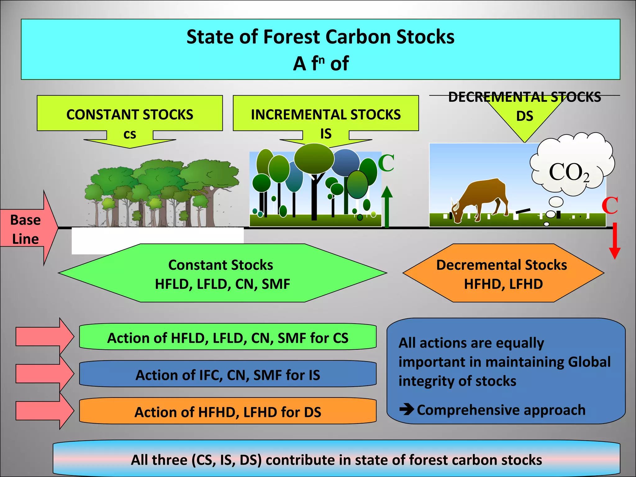 State of Forest Carbon Stocks  A f n  of   CONSTANT STOCKS cs DECREMENTAL STOCKS DS INCREMENTAL STOCKS IS CO 2 c Constant Stocks  HFLD, LFLD, CN, SMF Decremental Stocks  HFHD, LFHD Base Line Action of HFLD, LFLD, CN, SMF for CS Action of IFC, CN, SMF for IS Action of HFHD, LFHD for DS All actions are equally important in maintaining Global integrity of stocks  Comprehensive approach All three (CS, IS, DS) contribute in state of forest carbon stocks C C 