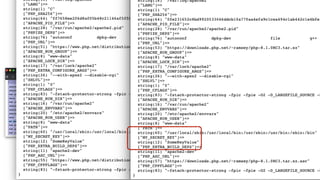 @danaluther
But is it secret? Is it safe?
Lets check those $_ENV vars …
 